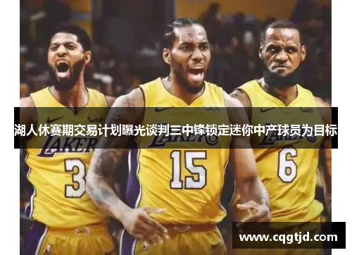 湖人休赛期交易计划曝光谈判三中锋锁定迷你中产球员为目标 湖人休赛期交易计划曝光谈判三中锋锁定迷你中产球员为目标